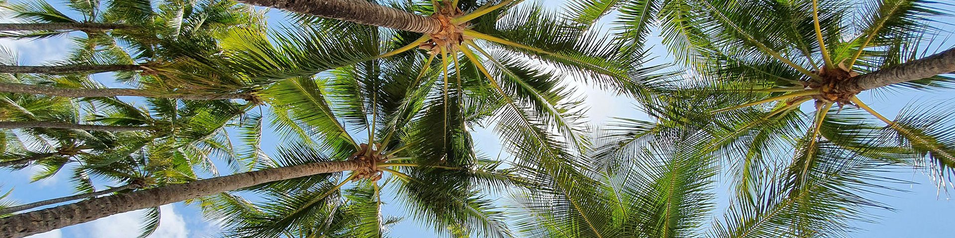 <b>FNQ</b> BOOKKEEPERS